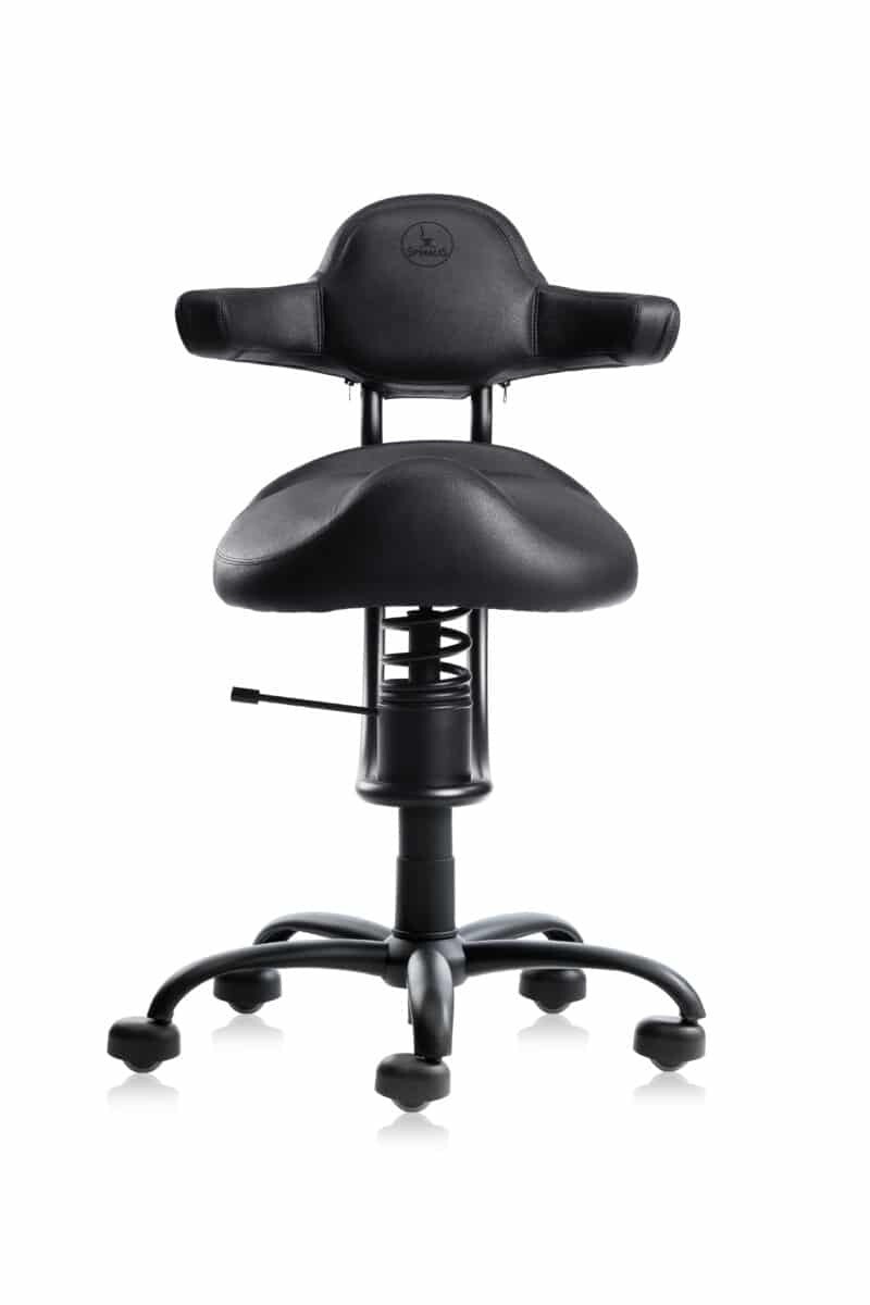 SpinaliS Rodeo