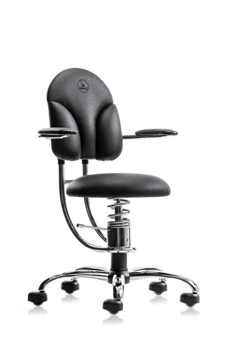 SpinaliS Basic