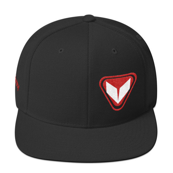 VSE Snapback Hat