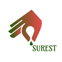 Surest Online Store
