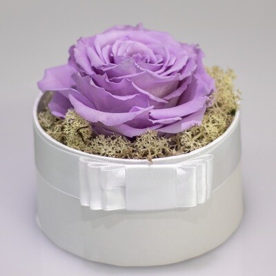 ESSENCE Gift Box - Infinite Lavender