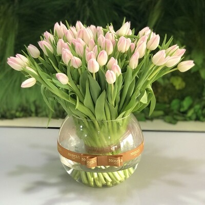 Classic Jardin Vase M -Tulip Pink Fischbowl