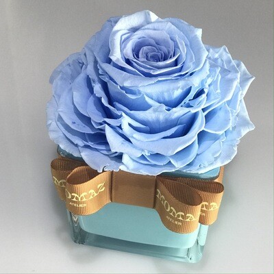 Cube Classic Rosalie - InfiniteRose Light Blue