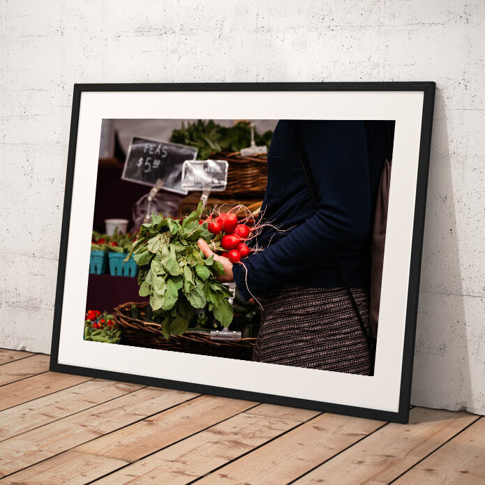 Fine Art Print:  Radishes