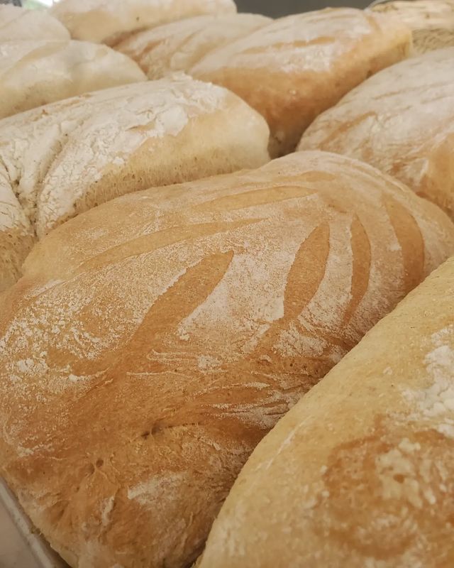 Classic Sour Dough Bread