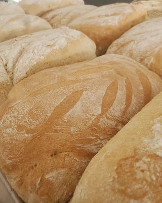 Classic Sour Dough Bread