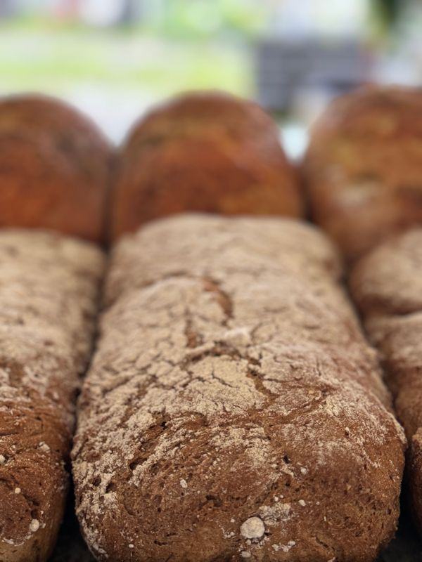 Sour Dough Rye Bread