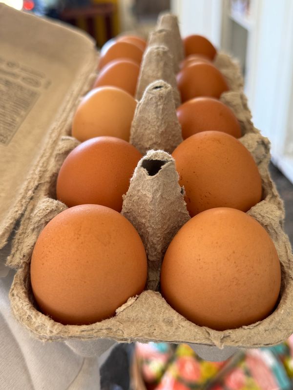 Fresh Eggs