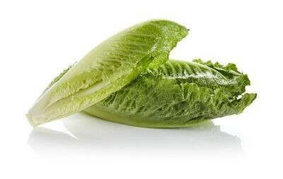 Salade Romaine