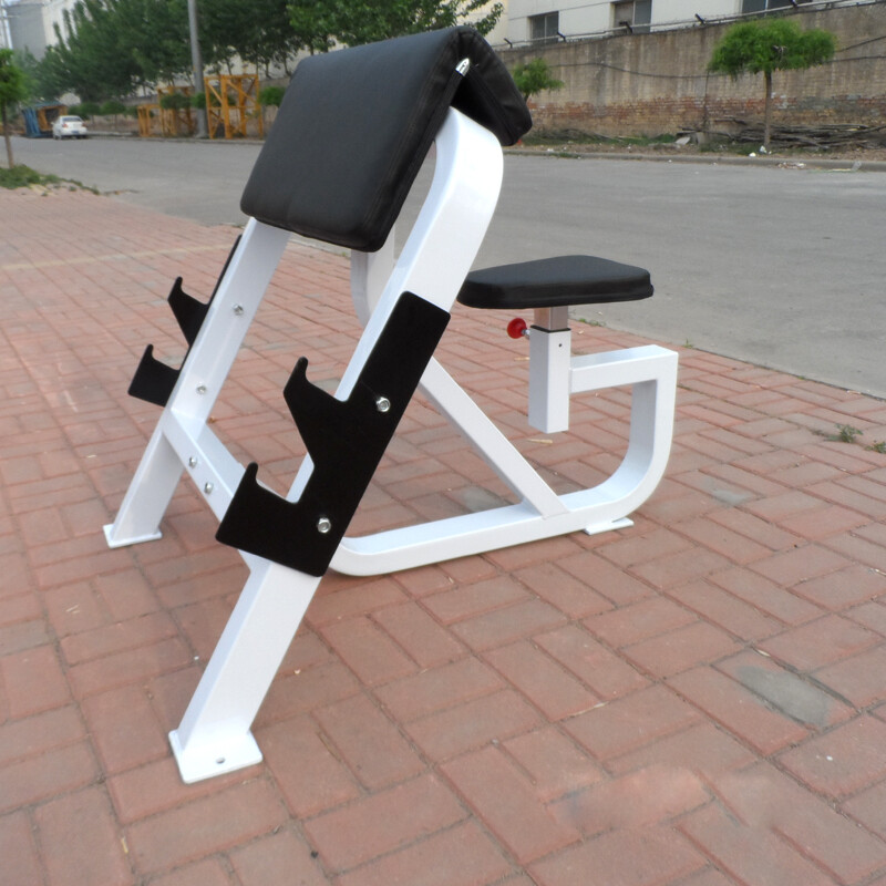 Preacher Curl Bench