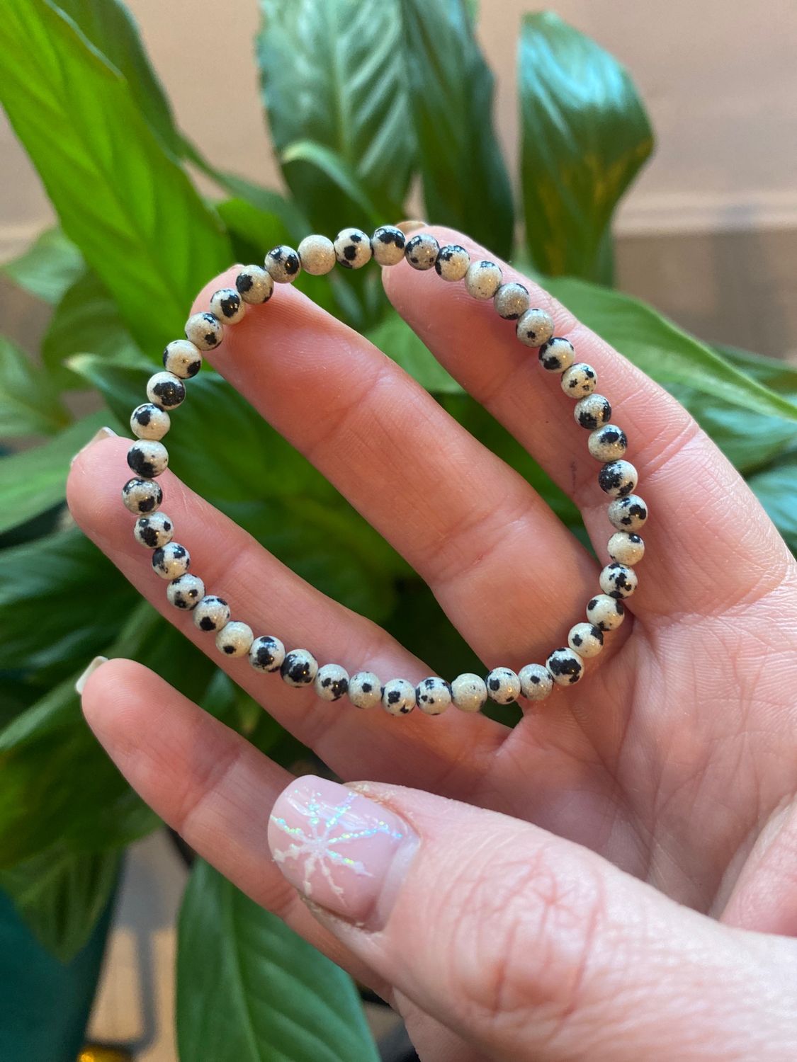 Dalmatian Jasper 4mm Beaded Stretchy Bracelet