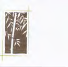 Bamboo
