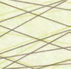 Tovagliolo Napkin 40x40 conf 800 pz Tovagliolo Napkin 40x40 conf 800 pz