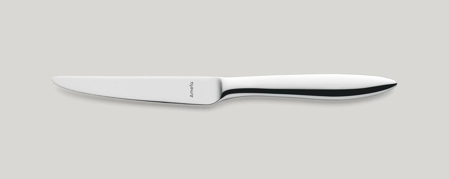 Amefa - COLTELLO DA BISTECCA MANICO PIENO Tendence