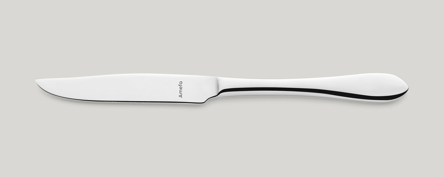 Amefa - COLTELLO DA BISTECCA MANICO PIENO Chopin Amefa - COLTELLO DA BISTECCA MANICO PIENO Chopin