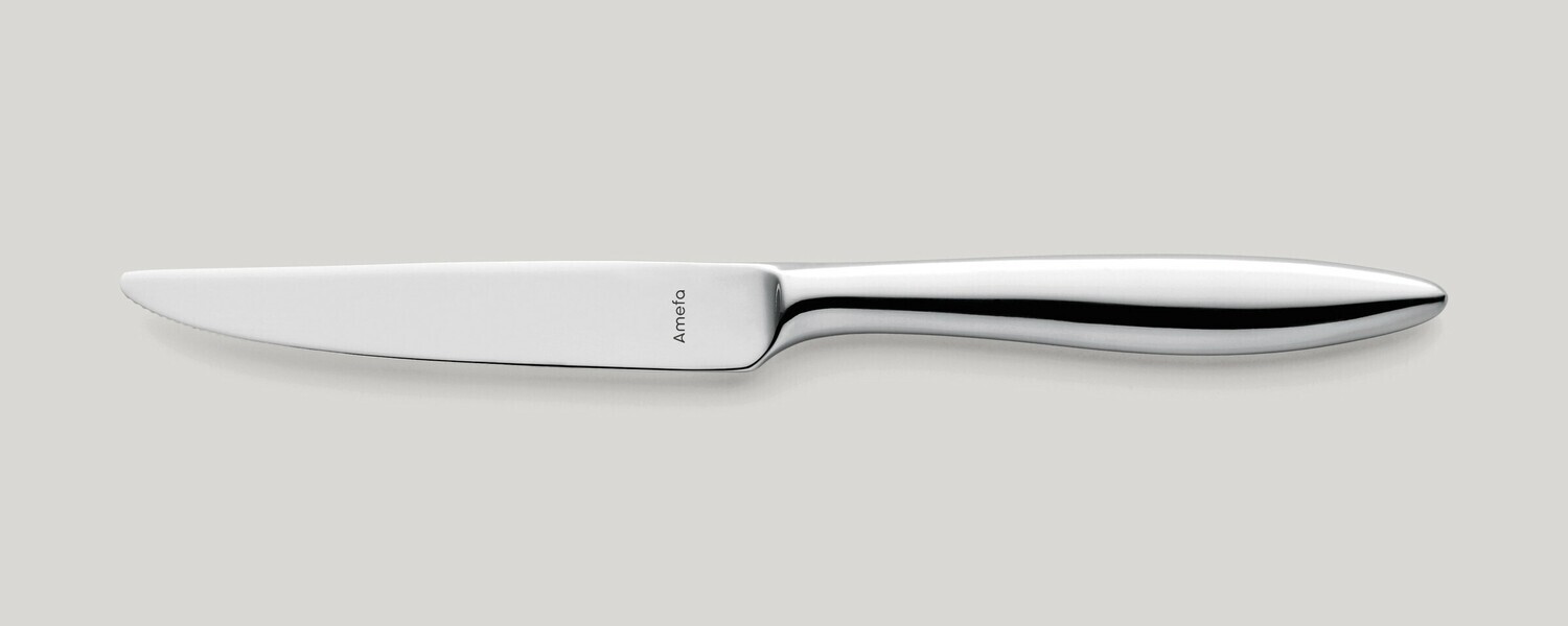 Amefa - COLTELLO DA PRANZO MANICO PIENO Tendence Amefa - COLTELLO DA PRANZO MANICO PIENO Tendence