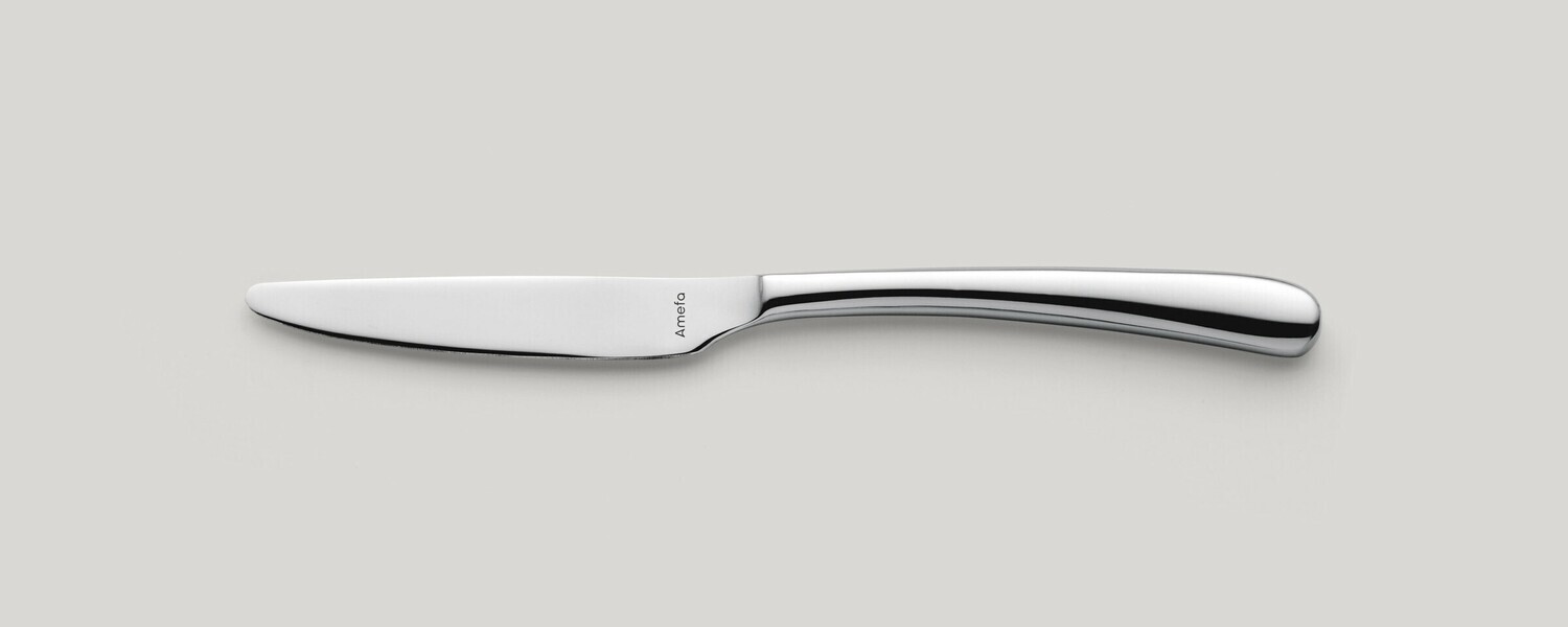 Amefa - COLTELLO DA FRUTTA MANICO PIENO Newton Amefa - COLTELLO DA FRUTTA MANICO PIENO Newton