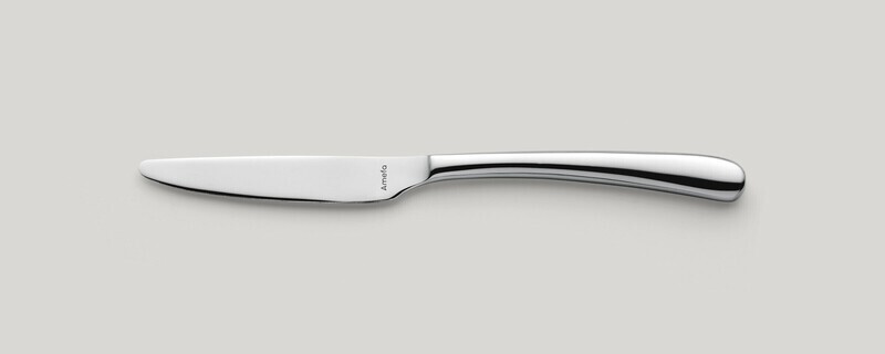 Amefa - COLTELLO DA FRUTTA MANICO PIENO Newton
