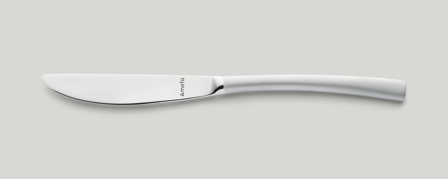 Amefa - COLTELLO DA PRANZO MANICO PIENO Cosmos