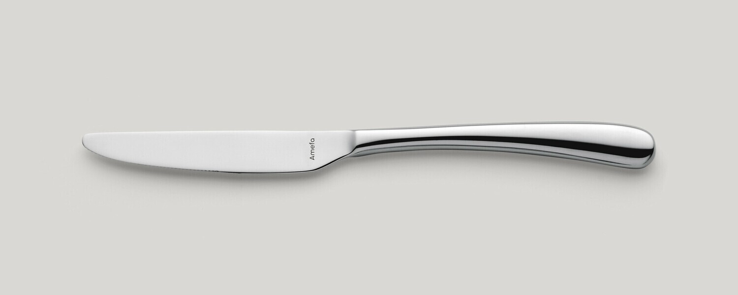Amefa - COLTELLO DA DESSERT MANICO PIENO Newton Amefa - COLTELLO DA DESSERT MANICO PIENO Newton