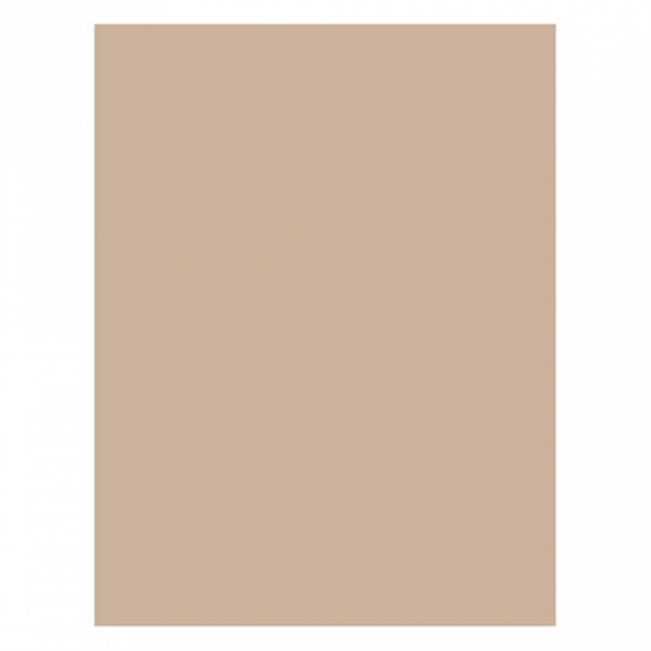 CARTA ANTIGRASSO PER HAMBURGER 34 G/M2 28x34 CM NATURALE (1000 UNITÀ) CARTA ANTIGRASSO PER HAMBURGER 34 G/M2 28x34 CM NATURALE (1000 UNITÀ)