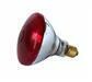 Lampadina Ricambio Luce Rossa SP1755 Horecatech Lampadina Ricambio Luce Rossa SP1755 Horecatech