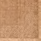 Tovaglia Tablecloth 100x100 conf 80 pz