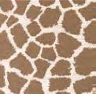 Tovaglia Tablecloth 100x100 conf 100 pz Tovaglia Tablecloth 100x100 conf 100 pz