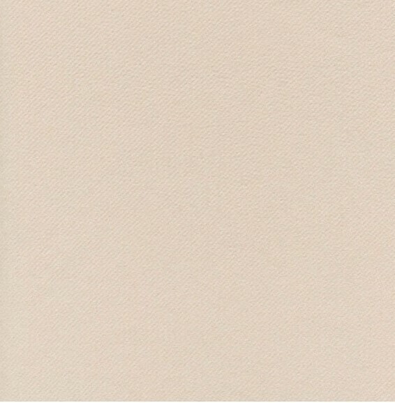 Tovaglia Tablecloth 100x100conf 100 pz Tovaglia Tablecloth 100x100conf 100 pz