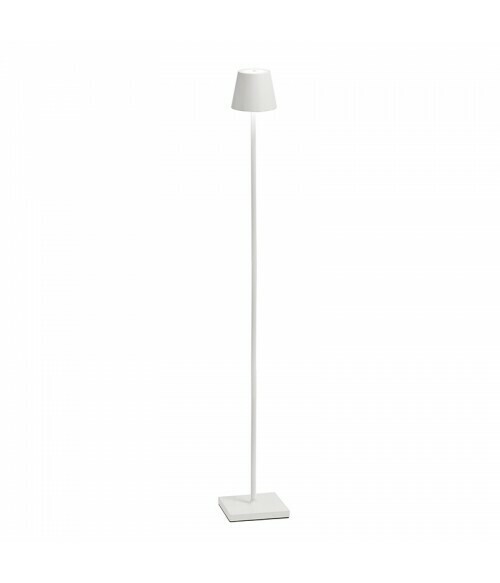 Poldina Pro Piantana Bianco - Zafferano