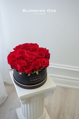 Red roses box rimmed with gold line