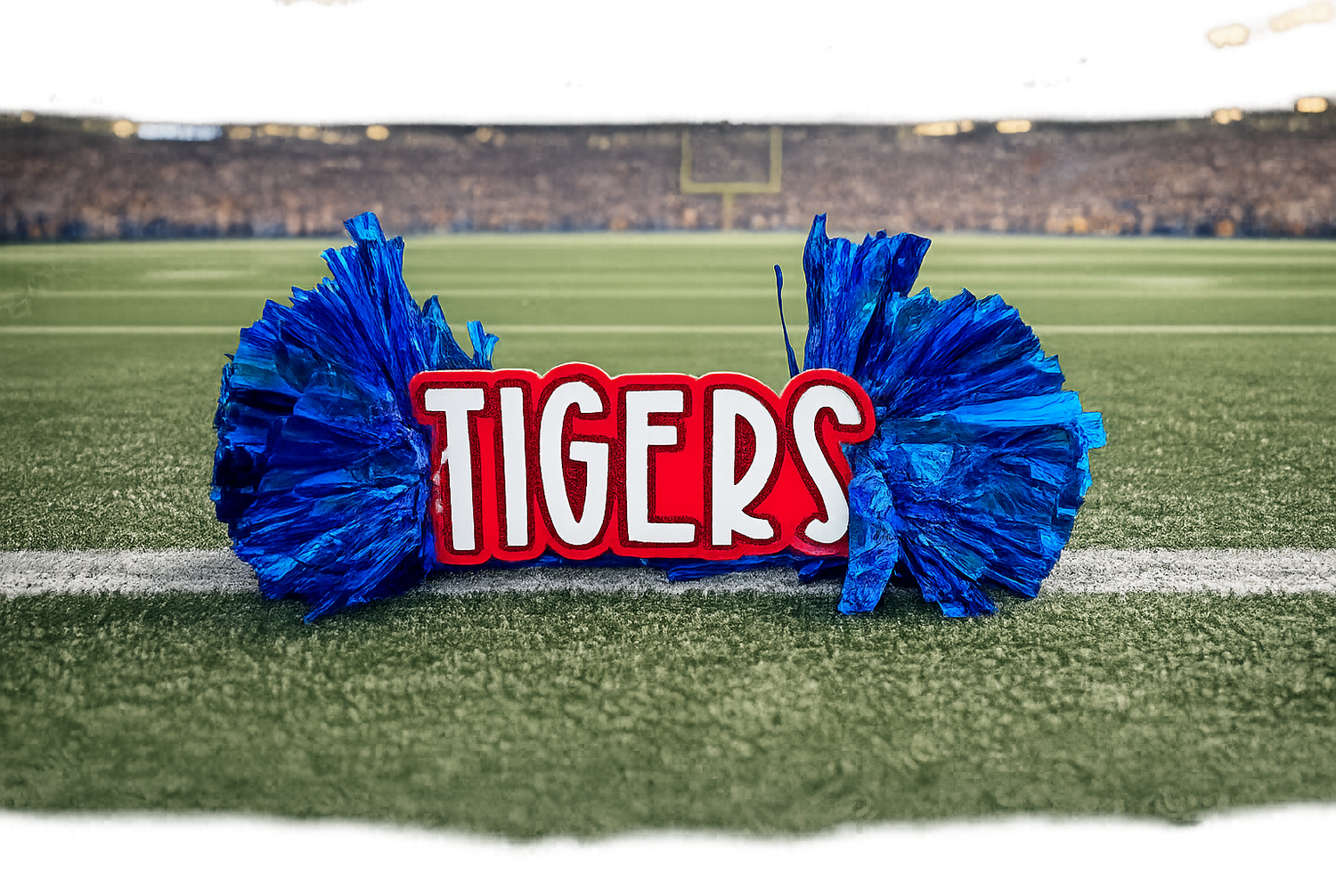 School Spirit Cheer Stick