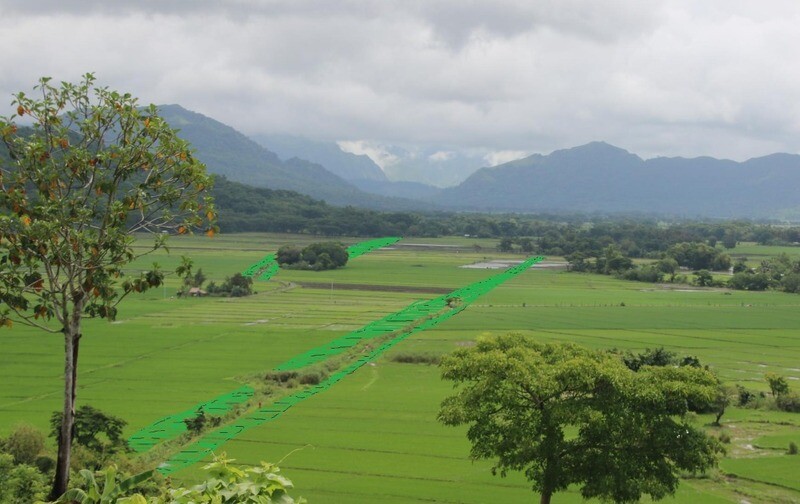 Project 100,000 (90,000 Moringa trees)