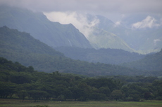 Sustainable Reforestation