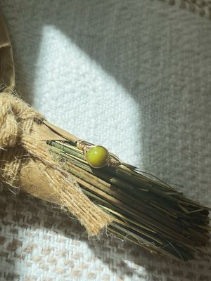 Olivo