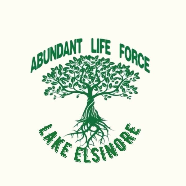 Abundant Life Force Lake Elsinore