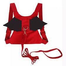 Anti-Lost Harness with wings
