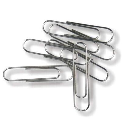 Paper clips - Silver 100&#39;s Pack