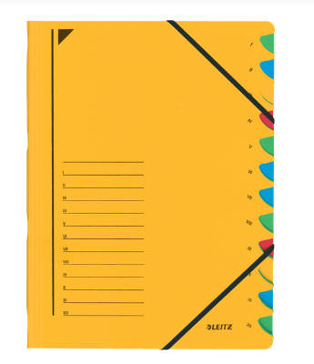 LEITZ 3912 Office Divider Book 12 Compartment