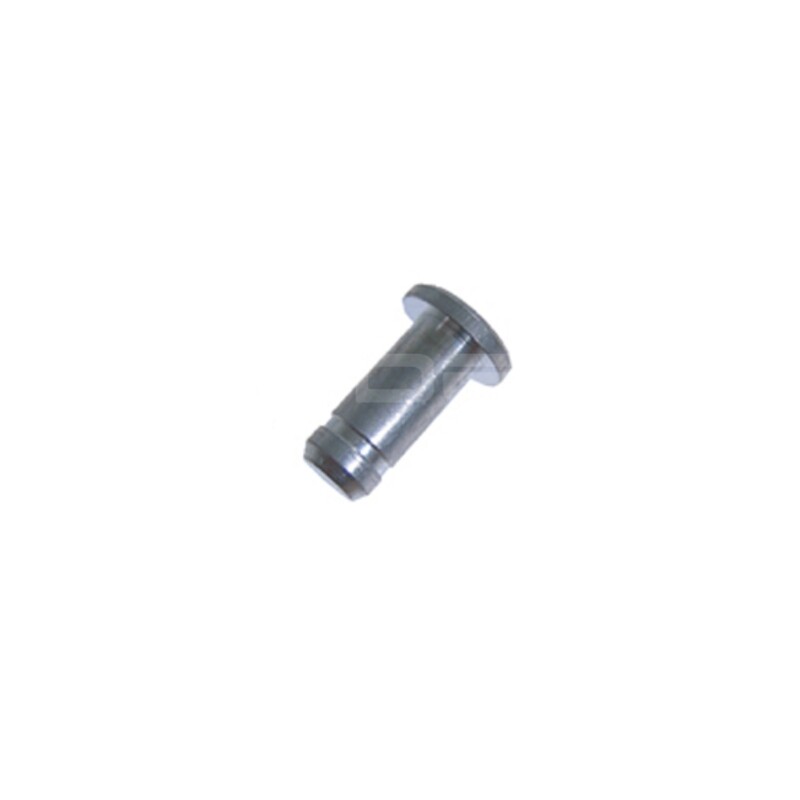 Check Strap Pin, T1 Beetle 1962 on