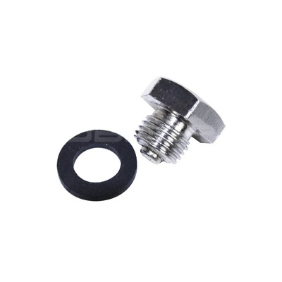 Magnetic Sump Plug in Chrome