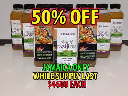 Earth Tea Extra Strength Immune drink (sold each)