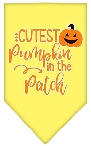 Cutest Pumpkin in the Patch Screen Print Bandana