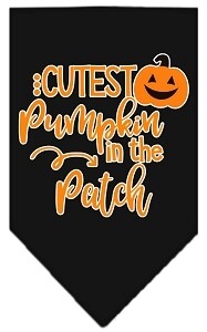 Cutest Pumpkin in the Patch Screen Print Bandana, Color: Black