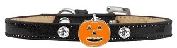 Pumpkin Charm Dog Collar Ice Cream