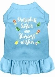Pumpkin Kisses Screen Print Dog Dress