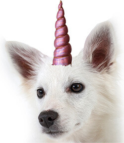 Unicorn Horns