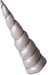 Magic Unicorn Horn for Large and XL Pets