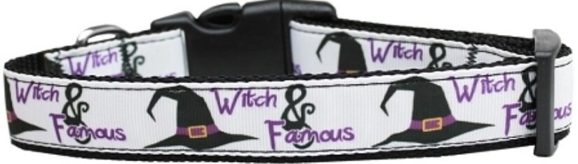 Witch and Famous Nylon Dog Collar