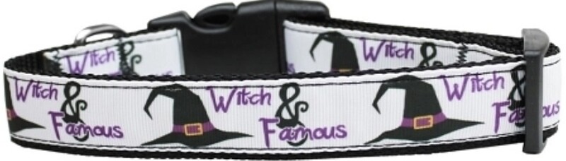 Witch and Famous Nylon Dog Collar